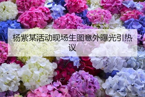 杨紫某活动现场生图意外曝光引热议